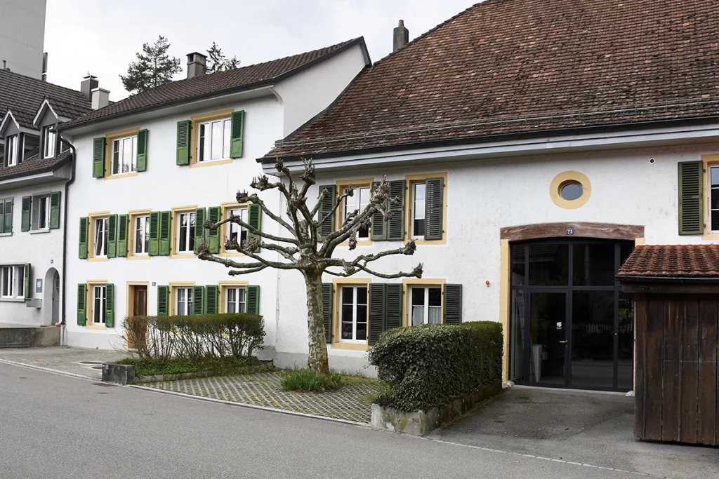 Art-vif-Bienne-maison